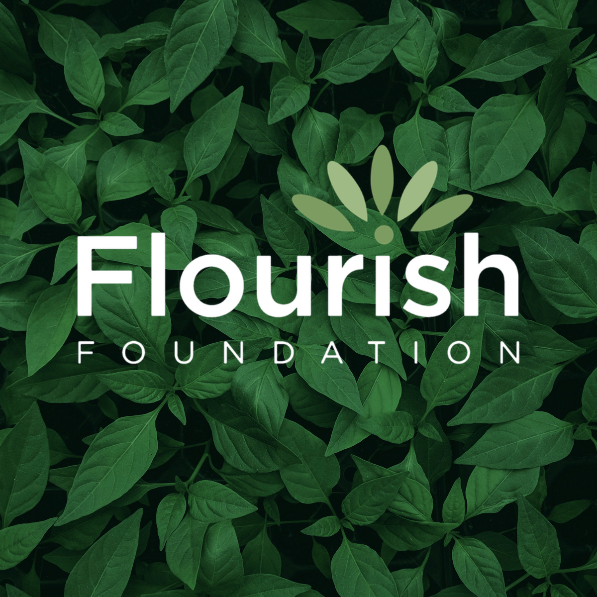 Working Mindfully With Change, Pain, Illness, and Aging - 4 Week Series in October - logo